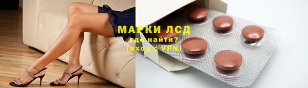 шишки Осинники